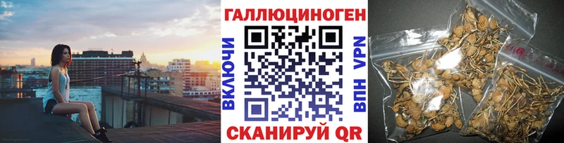 даркнет сайт  Большой Камень  Галлюциногенные грибы мицелий 
